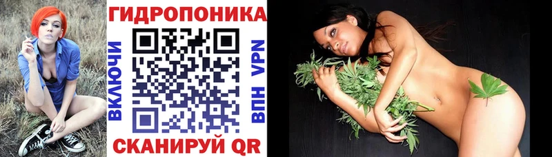 Где можно купить наркотики Кандалакша Кокаин  A PVP  МЕФ 
