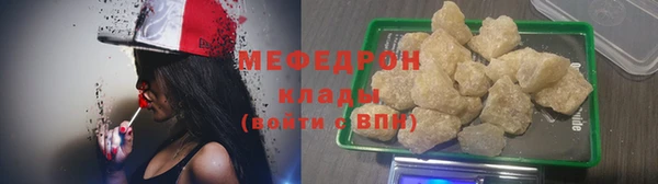 молекула духа Вяземский