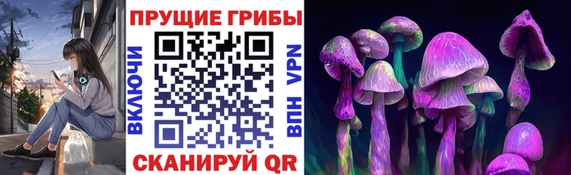 Галлюциногенные грибы Psilocybe Кандалакша